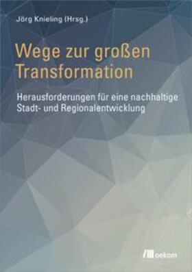 Engel / Knieling |  Wege zur großen Transformation | Buch |  Sack Fachmedien