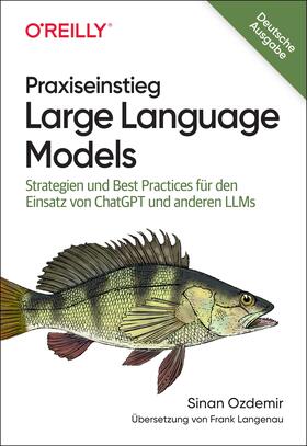 Ozdemir |  Praxiseinstieg Large Language Models | Buch |  Sack Fachmedien