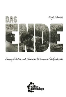 Schmidt |  Das Ende | Buch |  Sack Fachmedien