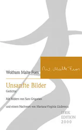 Fues |  Unsanfte Bilder | Buch |  Sack Fachmedien