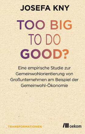 Kny |  Too big to do good? | Buch |  Sack Fachmedien