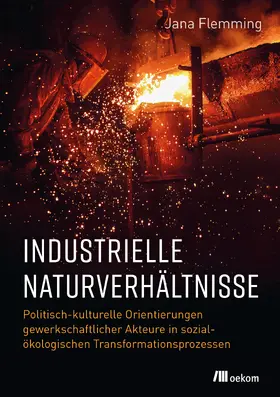 Flemming |  Industrielle Naturverhältnisse | Buch |  Sack Fachmedien