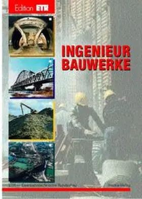 Heinisch / Siegmann / Stuchly |  Ingenieurbauwerke | Buch |  Sack Fachmedien