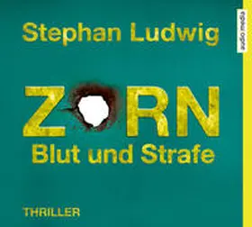 Ludwig |  Zorn 8 - Blut und Strafe | Sonstiges |  Sack Fachmedien