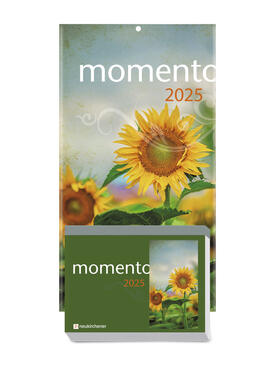 Puttkammer |  momento 2025 - Abreißkalender mit Rückwand und Aufstellfuß | Sonstiges |  Sack Fachmedien