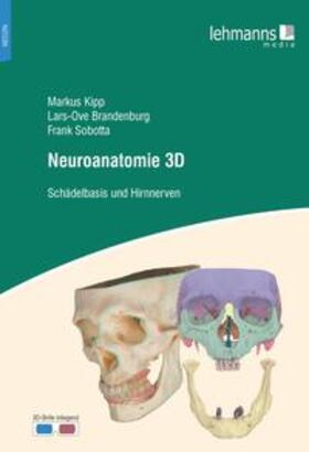 Kipp / Brandenburg / Sobotta |  Neuroanatomie 3D | Buch |  Sack Fachmedien