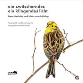 ­Augustin / Sagurna / Frolowa |  ein zwitscherndes ein klingendes licht | Buch |  Sack Fachmedien