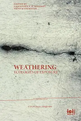 Holzhey / Wedemeyer |  Weathering | Buch |  Sack Fachmedien