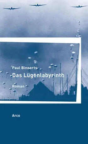 Binnerts |  Das Lügenlabyrinth | Buch |  Sack Fachmedien