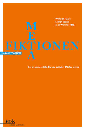 Brückl / Haefs / Wimmer |  METAfiktionen | Buch |  Sack Fachmedien