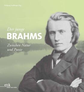 Sandberger |  Der junge Brahms | Buch |  Sack Fachmedien
