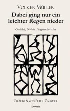 Müller |  Dabei ging nur ein leichter Regen nieder | Buch |  Sack Fachmedien