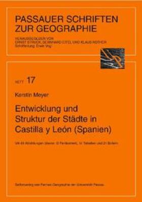 Meyer |  Entwicklung und Struktur der Städte in Castilla y León (Spanien) | Buch |  Sack Fachmedien