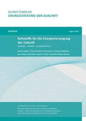 Angerer / Buchholz / Gutzmer |  Rohstoffe für die Energieversorgung der Zukunft | Buch |  Sack Fachmedien