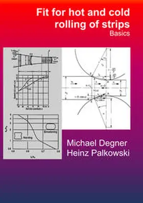 Palkowski / Degner |  Fit for hot and cold rolling of strips - Basics | Buch |  Sack Fachmedien