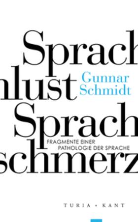 Schmidt |  Sprachlust – Sprachschmerz | Buch |  Sack Fachmedien