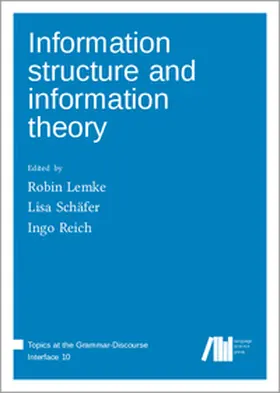 Lemke / Reich / Schäfer |  Information structure and information theory | Buch |  Sack Fachmedien