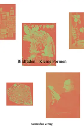 Birken / Noeske / Cotten | Bildfäden Kleine Formen | Buch | 978-3-98761-009-7 | sack.de