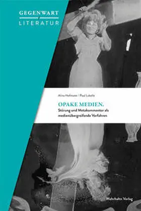 Hofmann / Labelle | Opake Medien | Buch | 978-3-98859-052-7 | sack.de