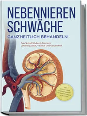 Neumann |  Nebennierenschwäche ganzheitlich behandeln: Das Selbsthilfebuch für mehr Lebensqualität, Vitalität und Gesundheit - inkl. Lifestyle-Check, Stressmanagement und Ernährungsguide mit Rezepten | Buch |  Sack Fachmedien