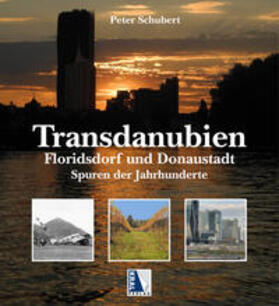 Schubert |  Transdanubien | Buch |  Sack Fachmedien