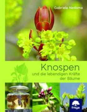 Nedoma |  Knospen | Buch |  Sack Fachmedien