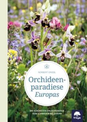 Griebl |  Orchideenparadiese Europas | Buch |  Sack Fachmedien