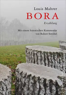 Mahrer / Streibel |  Bora | Buch |  Sack Fachmedien