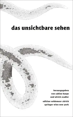 Haupt / Stadler | Das Unsichtbare sehen | Buch | 978-3-99043-093-4 | sack.de