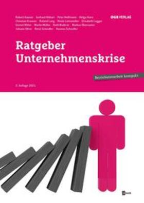 Lang / Leitsmüller / Lugger |  Ratgeber Unternehmenskrise | Buch |  Sack Fachmedien
