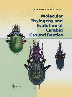 Osawa / Imura / Su |  Molecular Phylogeny and Evolution of Carabid Ground Beetles | Buch |  Sack Fachmedien