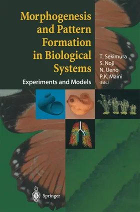 Sekimura / Noji / Ueno |  Morphogenesis and Pattern Formation in Biological Systems | Buch |  Sack Fachmedien