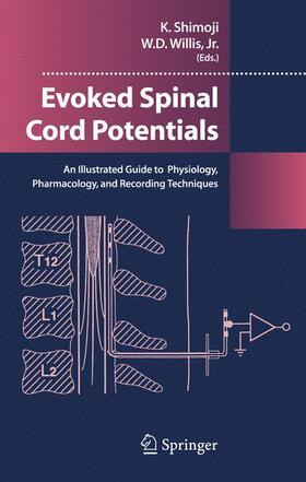 Shimoji / Willis |  Evoked Spinal Cord Potentials | Buch |  Sack Fachmedien