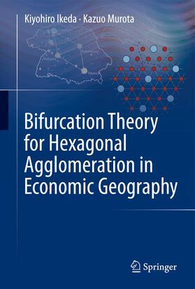 Murota / Ikeda |  Bifurcation Theory for Hexagonal Agglomeration in Economic Geography | Buch |  Sack Fachmedien
