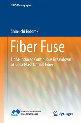 Todoroki |  Fiber Fuse | Buch |  Sack Fachmedien
