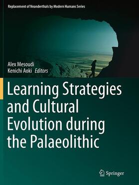 Aoki / Mesoudi |  Learning Strategies and Cultural Evolution during the Palaeolithic | Buch |  Sack Fachmedien
