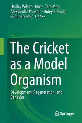 Horch / Mito / Noji |  The Cricket as a Model Organism | Buch |  Sack Fachmedien