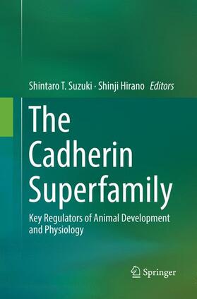Hirano / Suzuki |  The Cadherin Superfamily | Buch |  Sack Fachmedien