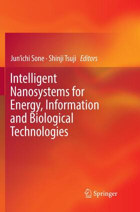 Tsuji / Sone |  Intelligent Nanosystems for Energy, Information and Biological Technologies | Buch |  Sack Fachmedien