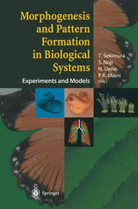 Sekimura / Noji / Ueno |  Morphogenesis and Pattern Formation in Biological Systems | eBook | Sack Fachmedien