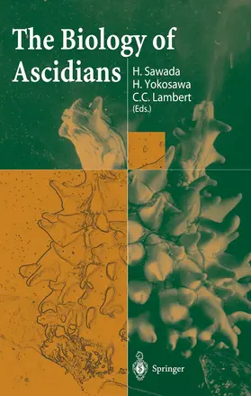 Sawada / Lambert / Yokosawa |  The Biology of Ascidians | Buch |  Sack Fachmedien