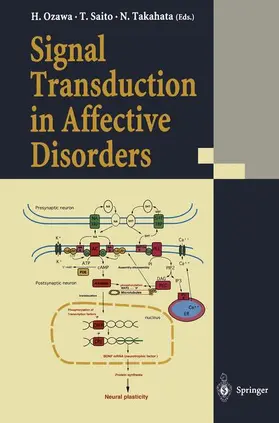 Ozawa / Takahata / Saito |  Signal Transduction in Affective Disorders | Buch |  Sack Fachmedien