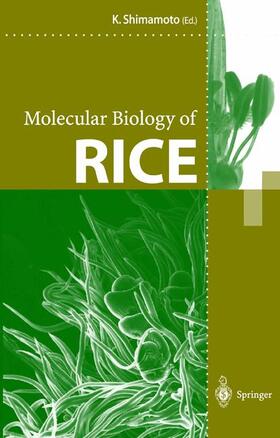 Shimamoto |  Molecular Biology of Rice | Buch |  Sack Fachmedien