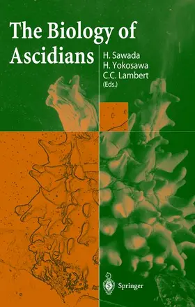 Sawada / Lambert / Yokosawa |  The Biology of Ascidians | Buch |  Sack Fachmedien