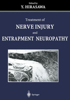 Hirasawa |  Treatment of Nerve Injury and Entrapment Neuropathy | Buch |  Sack Fachmedien