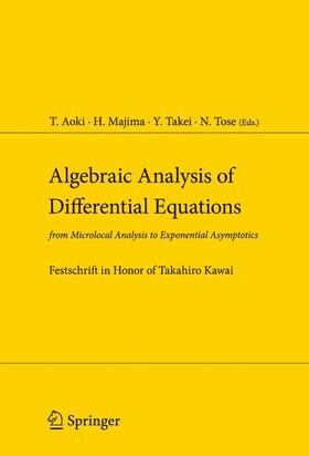 Aoki / Majima / Takei |  Algebraic Analysis of Differential Equations | Buch |  Sack Fachmedien