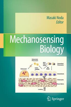 Noda |  Mechanosensing Biology | Buch |  Sack Fachmedien