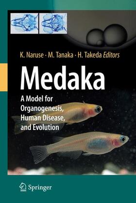 Naruse / Takeda / Tanaka |  Medaka | Buch |  Sack Fachmedien