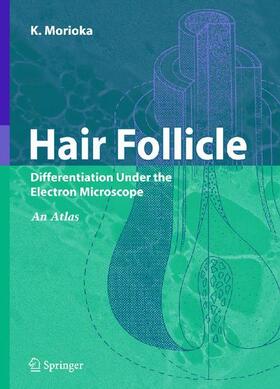 Morioka |  Hair Follicle | Buch |  Sack Fachmedien