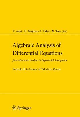 Aoki / Tose / Majima |  Algebraic Analysis of Differential Equations | Buch |  Sack Fachmedien